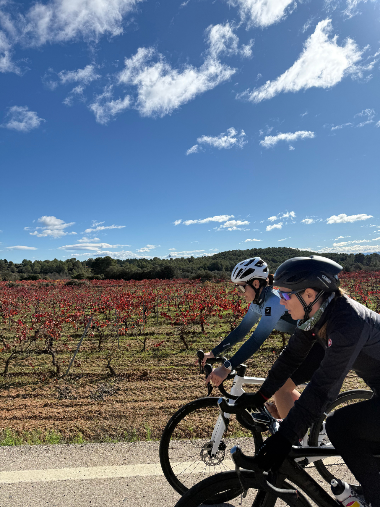 Dos ciclistas compartiendo una ruta entre viñedos